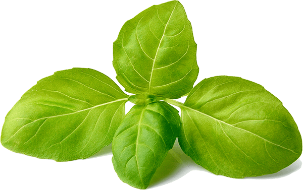 veg